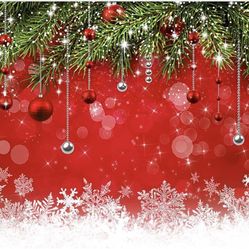 7x5ft Christmas Backdrop 