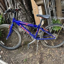Trek 220 Mountain Track Youth Bike