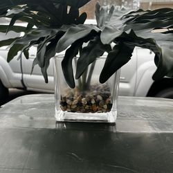 Faux House Plant