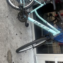 Adult Size Bike