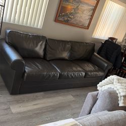 Dark Dark Brown Sofa 