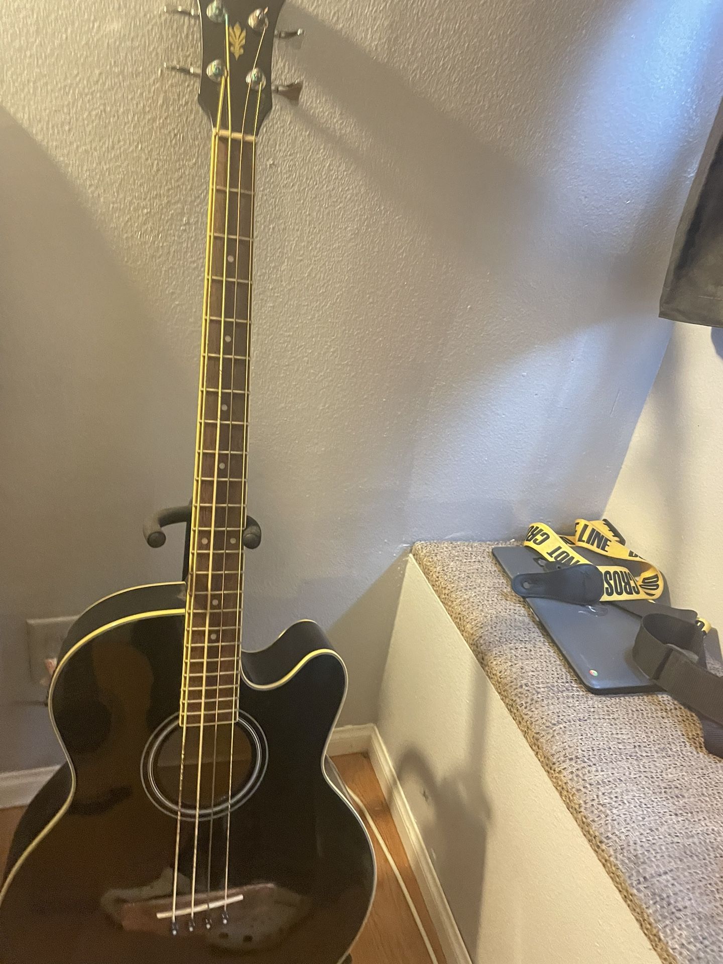 Bajoloche ibanez 2024