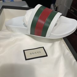 Gucci Slide Brand New In Box 