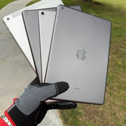 iPads 5 / 6 / 8 / Pro