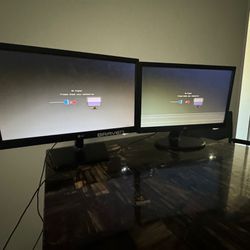 Two LG Monitors (price of 1)
