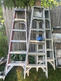 Home improvement  paint
