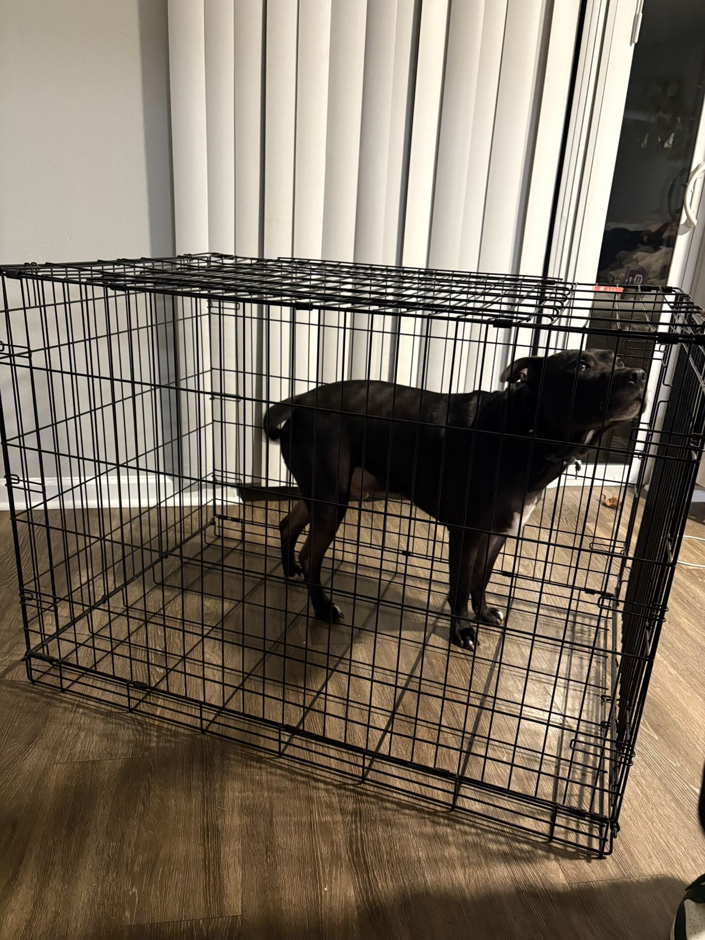 Extra Large Dog Kennel
