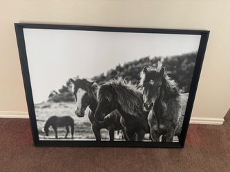 Horse picture and frame