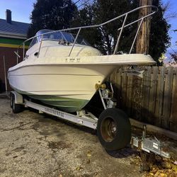 Cobia 220 WA Boat