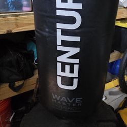 Punching Bag