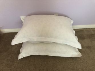2 king size pillows/ goose