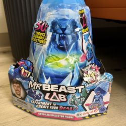 Mr. Beast Lab