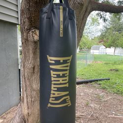 Everlast punching bag 100 lbs or 80 might be wrong just never used it and forgot about it $70 OBO