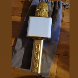Karaoke Mic