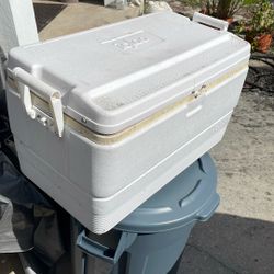 Igloo Cooler