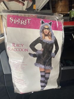 Raccoon Costume