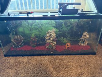 50 gallon fish tank