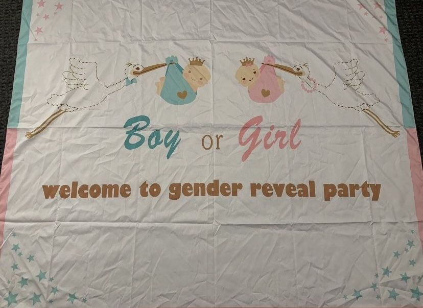 New Gender Reveal Boy Girl Baby Shower White Backdrop Party Decoration 