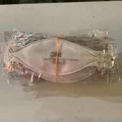 3M N95 Masks -10 Count