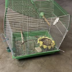 Bird Cage