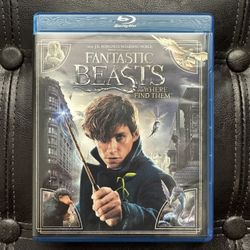 Fantastic Beasts and Where To Find Them (Blu-Ray + DVD)