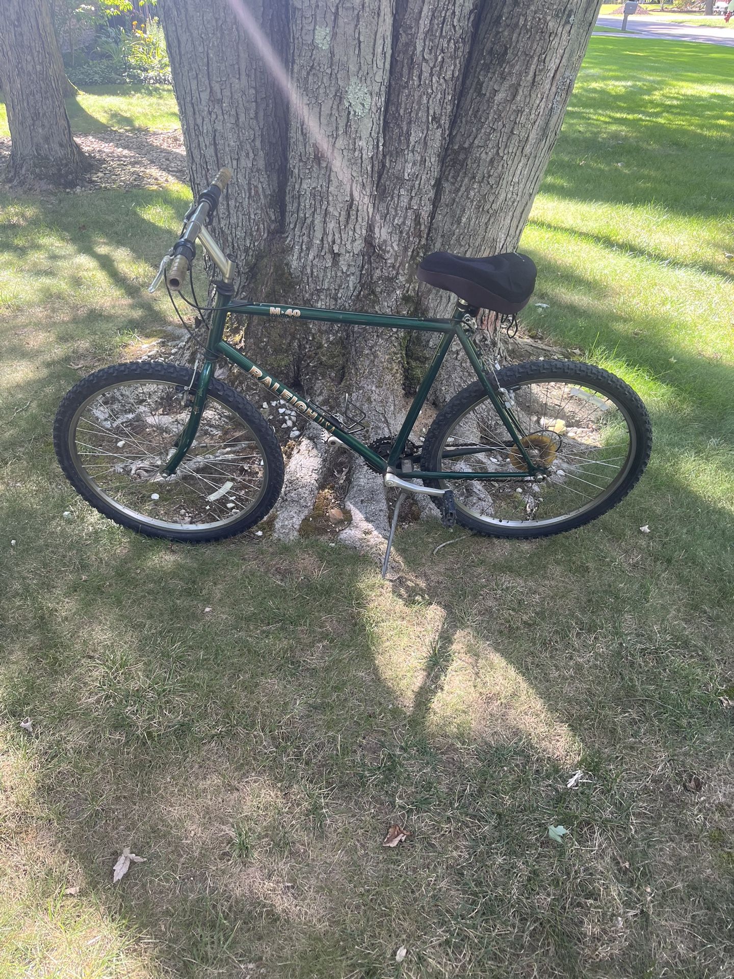 26” Raleigh Mountain Bike