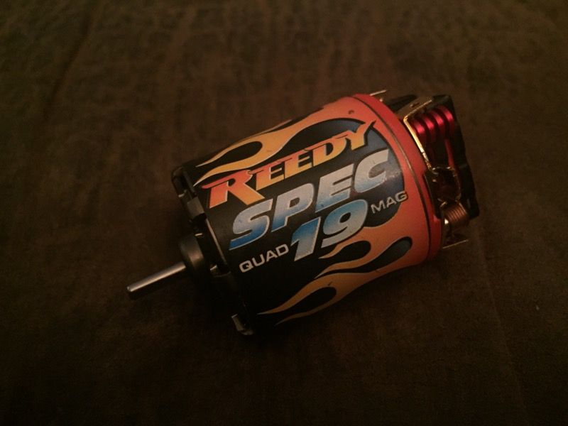 RC CAR MOTOR Reedy Spec Quad 19 Mag Brushed Motor