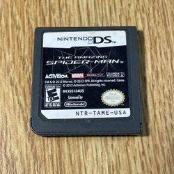 Nintendo DS The Amazing Spider-Man