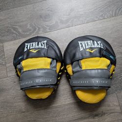 Everlast Mantis Boxing Mitts, Gray