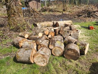 FREE firewood rounds