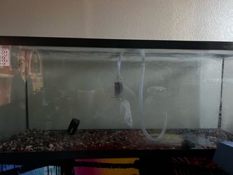 Fish tank 45g