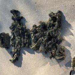 Gilly Suit