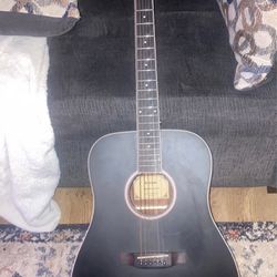 Acoustic Guitar 