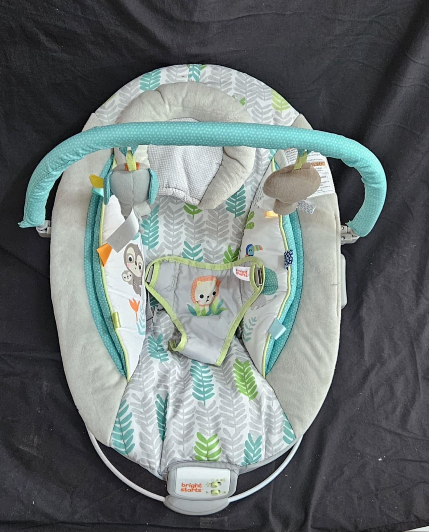Baby Bouncer