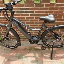 Priority Electric Bike