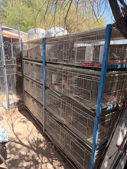 Bird cages