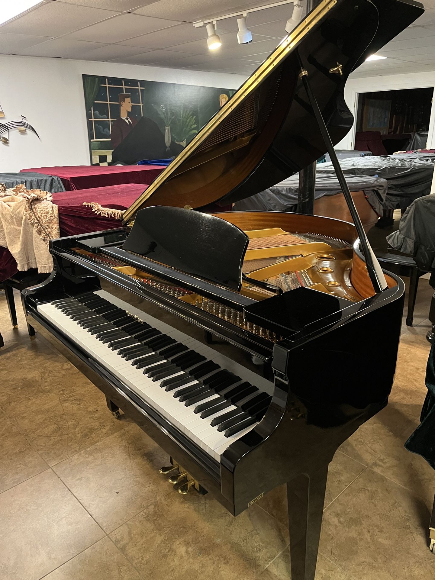 Awesome Baby Grand Piano