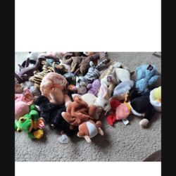 25 Plush TY Beanie Babies $3 Per Beanie Random Is Still Available 