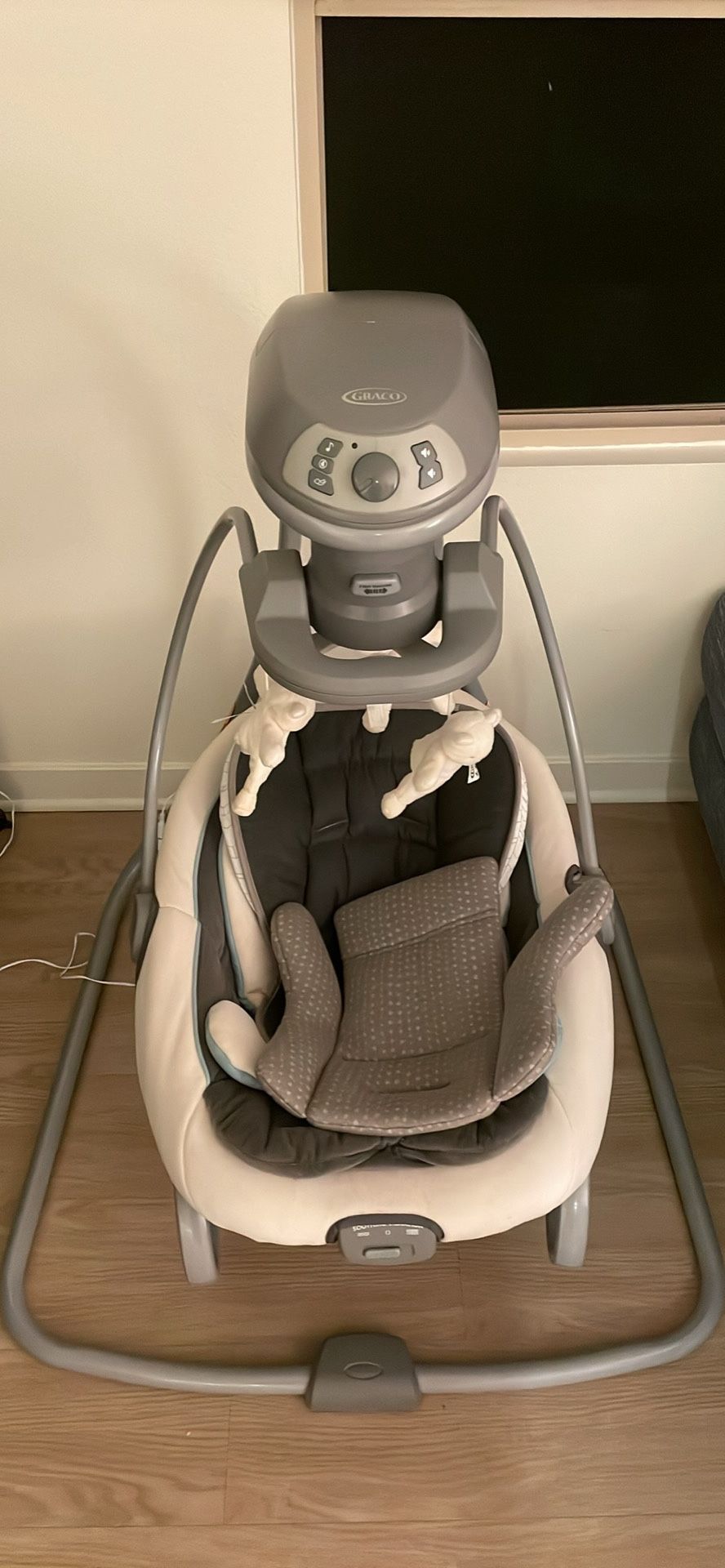 Baby Swing