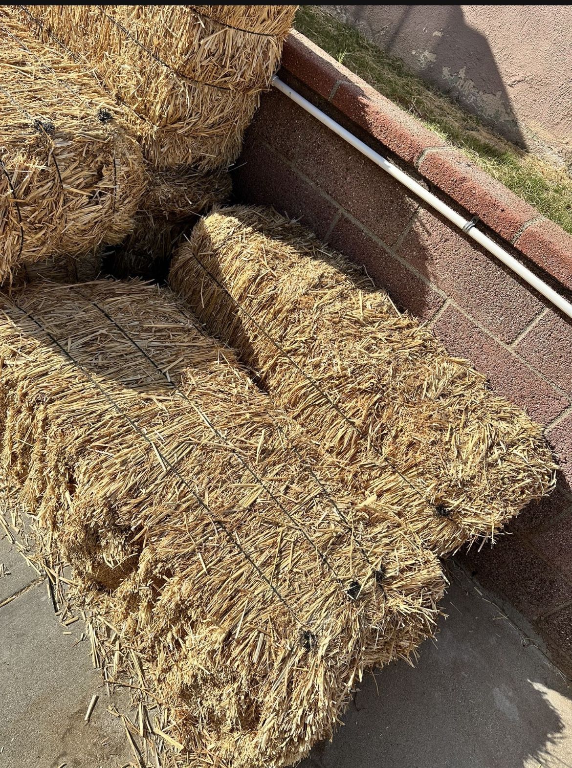 Hay