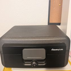 Sentry Safe 
