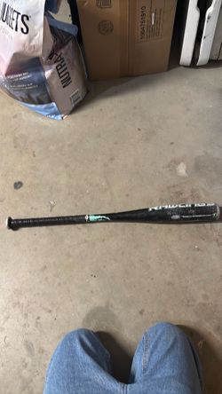 Rawlings raptor baseball bat