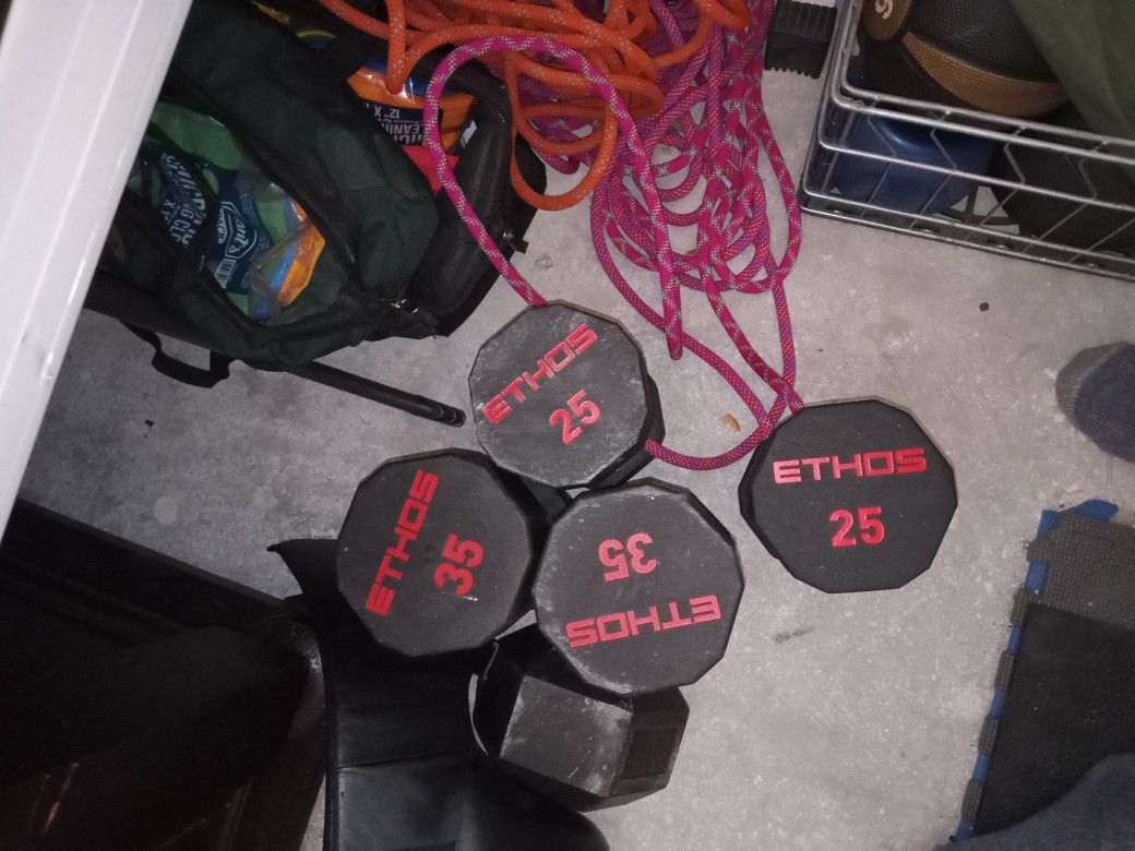 Ethos Dumbbells Pair Of 25 And 35