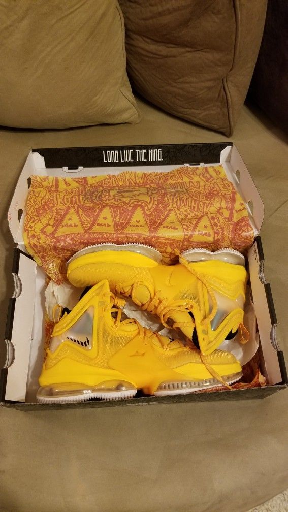 Nike Lebron 19 Hard Hat OG Jordan Retro Cement Chicago Lost & Found SB 1 2 3 4 5 6 7 8 13 11 9 12 Reimagine Hyper Thunder Yellow Carolina