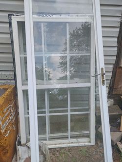 Storm Door And Windows