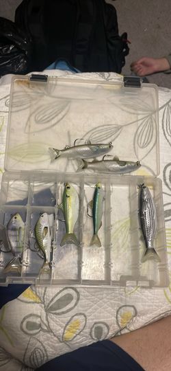 Live Target Tackle Box