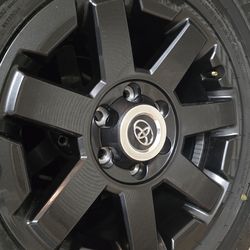 Toyota 4Runner 17x7 oem rims and tires.