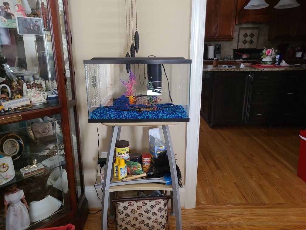 Fish Tank With and Accessories
