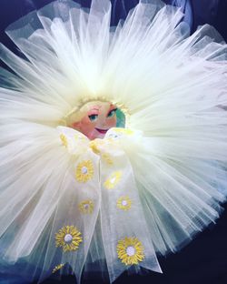 Frozen tutu