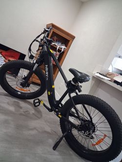 Electric Fat Tire Mountain Bike